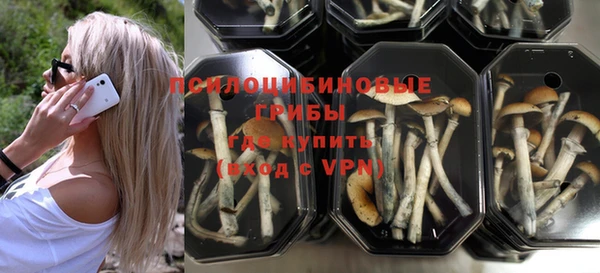 альфа пвп Бугульма