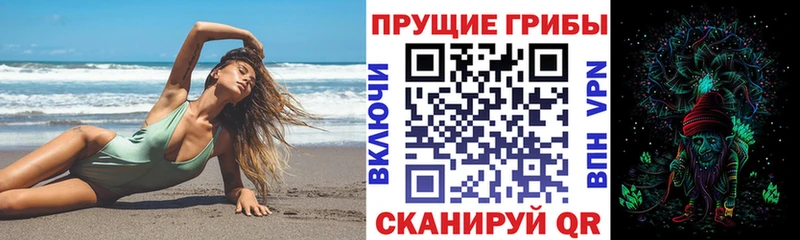 Псилоцибиновые грибы Cubensis  кракен tor  Волчанск  где найти наркотики 